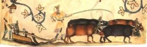 Peasants at work on a plough team, from the Luttrell Psalter