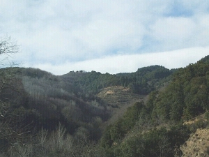 Scenery around the hills south-west of Sant Hilari Sacalm