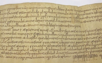 Close-up of Arxiu Capitular de Vic, calaix 9, episc. I, núm 50