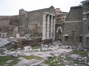 Ruins in the Foro di Nerva, Rome