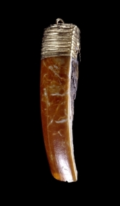Seventh-century Anglo-Saxon beaver-tooth pendant, on display at the British Museum 