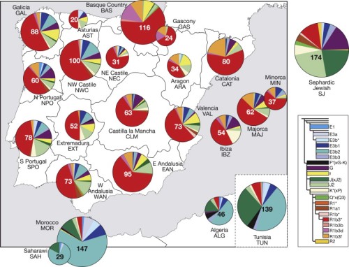 Haplogroup Distributons in Iberian, North African, and Sephardic Jewish Populations (Adams et al. 2008)