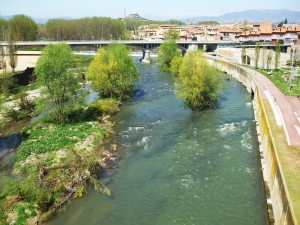 The River Ter, viewed from the Pont Romà, Roda de Ter