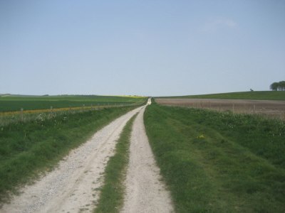 The track of an ancient herepath near Avebury