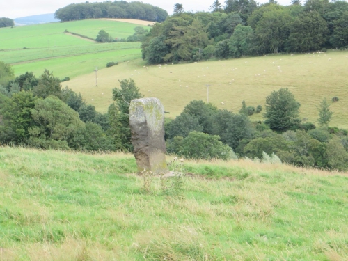 The Craw Stane at Rhynie, in its field