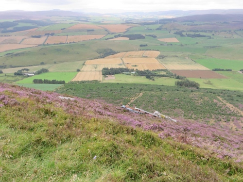 Rhynie seen from halfway up Tap O'Noth hillfort