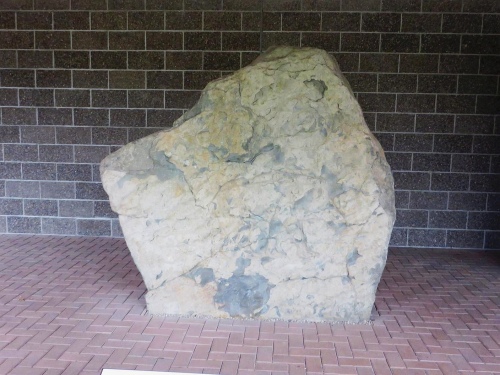 Obverse of the Knocknagael Boar Stone