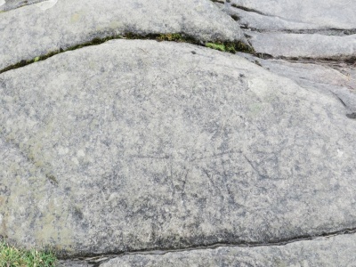 Pictish boar symbol carved into the inauguration stone in Dunadd Fort