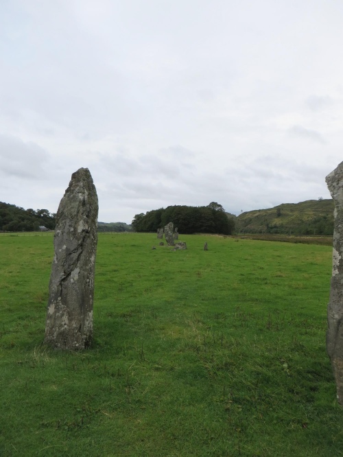 Several of the Nether Largie Standing Stones seen in the same picture