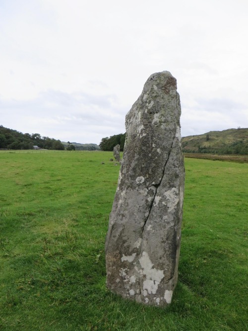 Several of the Nether Largie Standing Stones, Kilmartin Glen