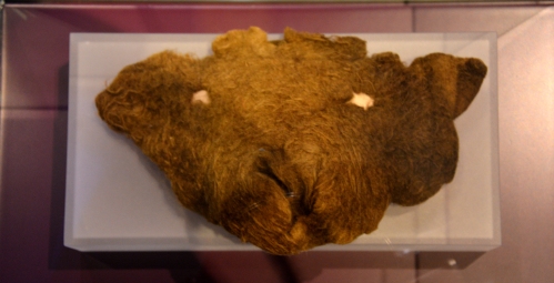 Textile dog mask in the Hedeby Viking Museum